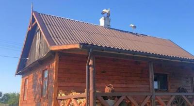 Душевный отдых в Беловежской пуще